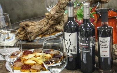 ACTIVITATS ENOTURÍSTIQUES 2016