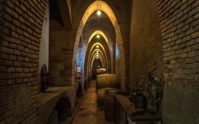 INAUGUREM LES OBRES DE REHABILITACIÓ DEL CELLER