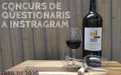 CONCURS DE QÜESTIONARIS A INSTAGRAM