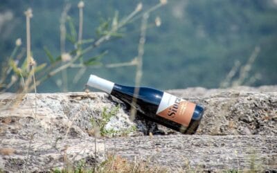 Castell de Siurana i Castell de Falset: dos vins agermanats per un territori amb ànima