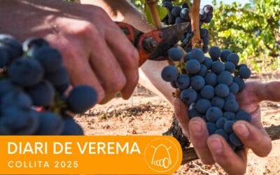 DIARI DE VEREMA 2025