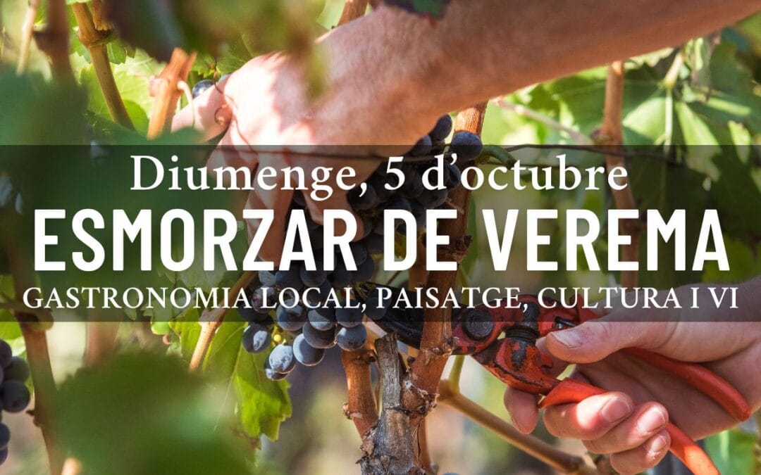 Desayuno de Vendimia: vive la magia del vino desde el origen