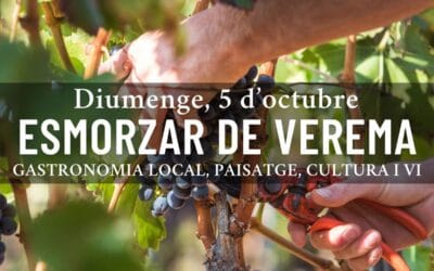 Esmorzar de Verema: viu la màgia del vi des de l’origen