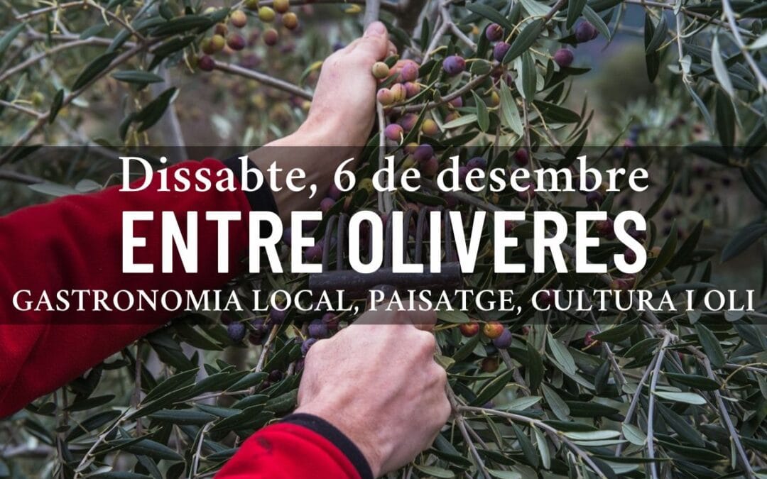 ENTRE OLIVOS – Experiencia oleoturística a los pies de Montsant