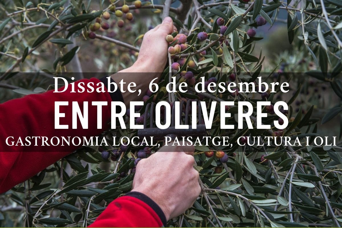 Banner of the Entre Oliveres 2025 activity
