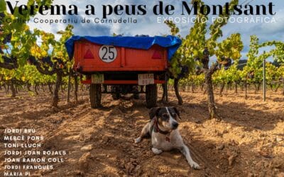 EXPOSICIÓ FOTOGRÀFICA “VEREMA A PEUS DE MONTSANT”