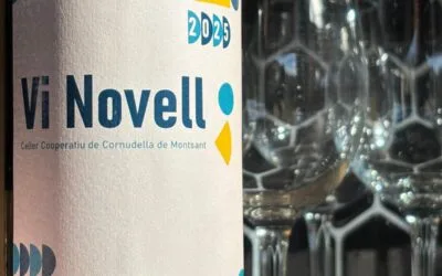 Vi Novell 2025