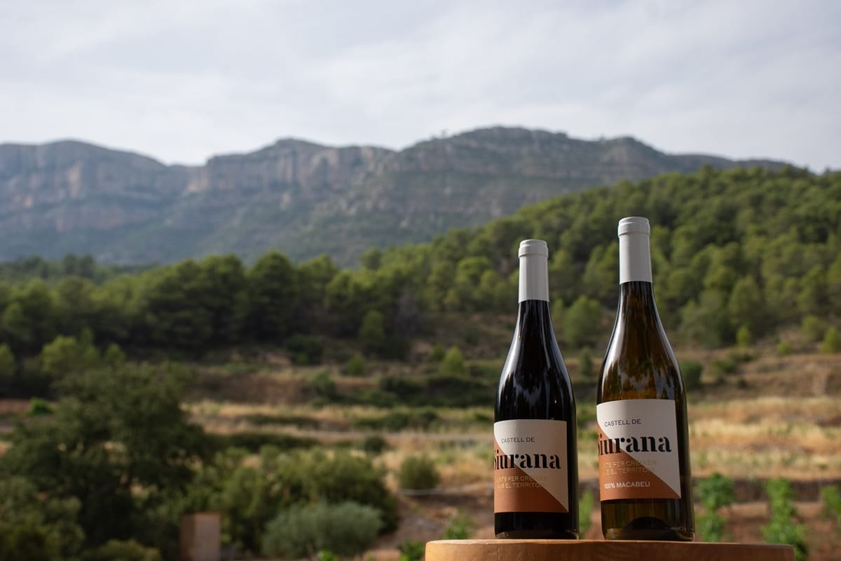 castell_siurana_5